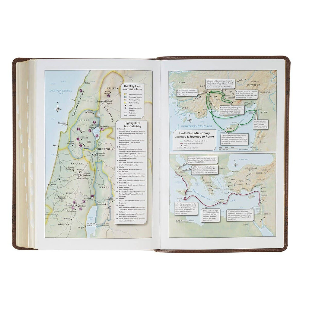 KJV Bible Giant Print Full-size Faux Leather, Crown/Amazing